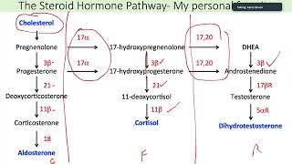 Cortisol Aldosterone and Androgen Synthesis  USMLE Step 1 [upl. by Aylad]