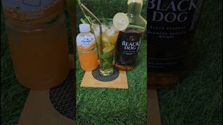 BLACK DOG WHISKY WITH MOGU MOGU [upl. by Aranahs]