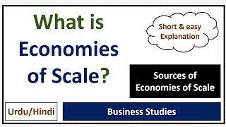 Economies of Scale Sources of Economies of Scale [upl. by Daenis]