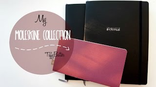 My Little Moleskine Collection [upl. by Eyla]