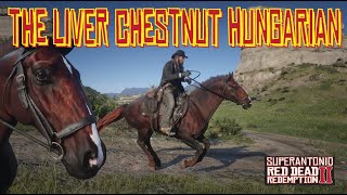 How to Use Save Wizard to Get The Liver Chestnut Hungarian Halfbred in Red Dead Redemption 2 [upl. by Beaufert]