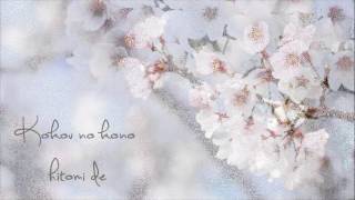 Akio Ohtsuka  Kokou no Hitomi  Lyrics [upl. by Aninahs]