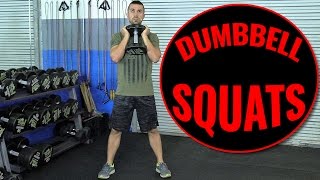 How To Squat Better With Dumbbells [upl. by Kcinom]