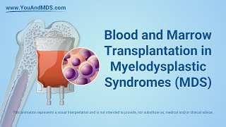 Blood and Marrow Transplant in MDS [upl. by Golding]