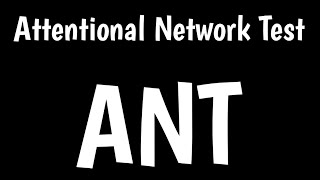 Attentional Network Test  ANT  Selective Attention Test [upl. by Farnsworth]