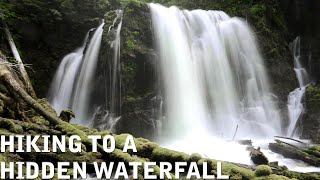 Downing Creek Falls  Willamette National Forest  Oregon  Hiking Adventure  Hidden Gem [upl. by Saxena]