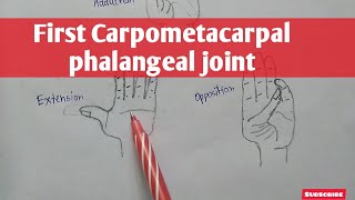 First Carpometacarpal phalengeal joint  upper limb  Anatomy [upl. by Schick]