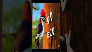 W for Woodpecker with Spelling  Kids English youtubeshorts viralshorts shorts [upl. by Luwana336]