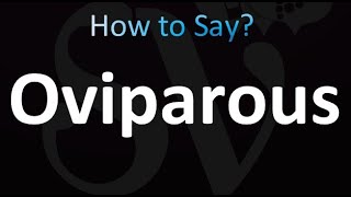 How to Pronounce Oviparous correctly [upl. by Alegnat]