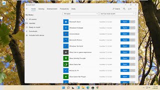 How to Play a DVD on Your Windows 11 Computer [upl. by Imak]