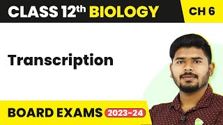 Transcription Molecular Basis of Inheritance  Class 12 Biology 202223 [upl. by Atilrac394]