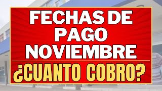 ✨FECHAS de PAGO Noviembre 2024 Anses  CUANTO COBRO [upl. by Naggem]