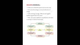 Homeostasis 📝 trending mbbslife physiology shorts medicalconcepts28 [upl. by Aes]