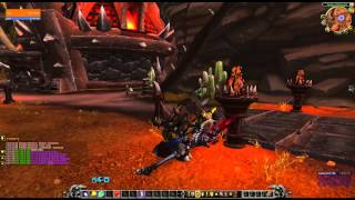 WoD Druid Season 16 Armor Primal Gladiators Dragonhide [upl. by Nomaid]