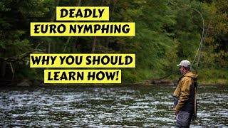 Deadly Euro Nymphing  How amp Why You Should Learn [upl. by Etessil]