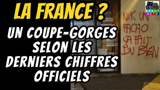 L’INQUIÉTANT VISAGE DE LA DÉLINQUANCE  LA FRANCE EST DEVENUE UN VÉRITABLE COUPEGORGES [upl. by Sverre]