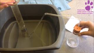 AQA Required Practical  Measuring the rate of reaction by collecting gas [upl. by Danaher]