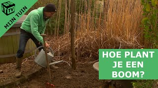 Hoe plant je een boom  Mijn tuin [upl. by Arhat479]