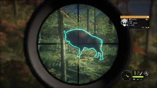 theHunter Call of the Wild  Hirschfelden Missions quotBhandari  A Last Pushquot [upl. by Simon]