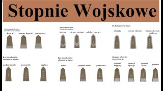 Stopnie wojskowe w Polsce  proste omówienie i opis [upl. by Leinnad962]