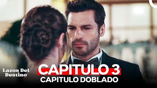 Lazos Del Destino Capitulo 3 Doblado en Español [upl. by Hey381]