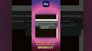 Effortless Color Conversion InDesign Quick Shortcuts for RGB and CMYK shorts [upl. by Moselle]
