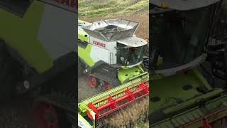 Claas Lexion 8900 on duty in the field Harvesting Canola [upl. by Atnes]