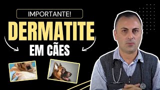 Dermatite EM cães [upl. by Octavian]