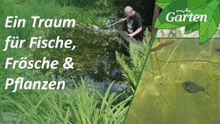 Traumgarten mit Fröschen und Fischen Im Gartenteich die Natur betrachten  MDR Garten [upl. by Aitetel567]