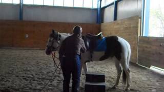 Retraining a horse that wont stand to be mounted [upl. by Paulson]