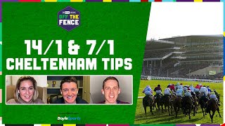 OFF THE FENCE  141 amp 71 CHELTENHAM PICKS ALLEGORIE DE VASSY  FESTIVAL TRIALS DAY PREVIEW [upl. by Souza]