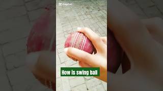 How is inswing and outswing ball swingball🥇🥇🏅 [upl. by Llenrahs]