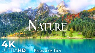 Nature Relaxation Film 4K  Beautiful Relaxing Music  Video Ultra HD [upl. by Marabel]