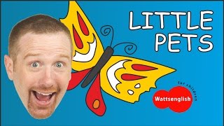 Little Live Pets Stories for Kids  Tips for teachers from Steve  ESL English for Children [upl. by Rolph150]