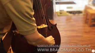 Schertler DYN B P48 Pickup for Double Bass with JAM100 [upl. by Anaib]