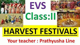 Harvest Festivals  class2  EVS  NCERT [upl. by Katuscha]