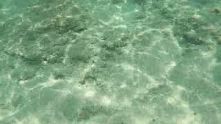 TUFFO NEL MARE DEL SALENTO TORRE COLIMENA GO PRO HERO 9 [upl. by Acissehc]