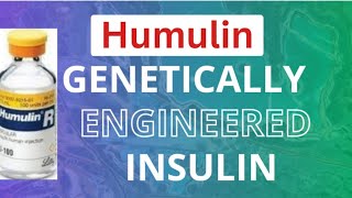 Humulin  Genetically Engineered Insulin lll Biotechnology and its application lll NEET class XII [upl. by Sheri105]