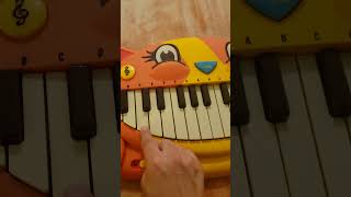 Hot Cross Buns Cat Piano [upl. by Akire892]