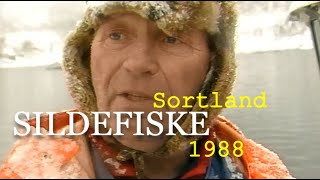 Sildefiske i Sigerfjorden Sortland 1988 [upl. by Neelsaj]