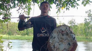 daido emperor di siksa ikan pari [upl. by Enom]