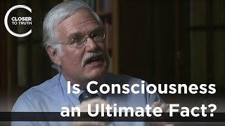 Frank Tipler  Is Consciousness an Ultimate Fact [upl. by Melar]