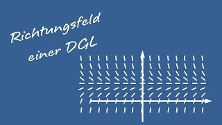 Differentialgleichungen  Richtungsfeld einer Differentialgleichung DGL [upl. by Crooks]