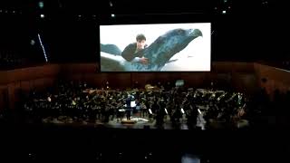 Buckbeaks ThemeOrchestra Italiana del Cinema LIVE Auditorium Parco della Musica Audience reaction [upl. by Meadow]