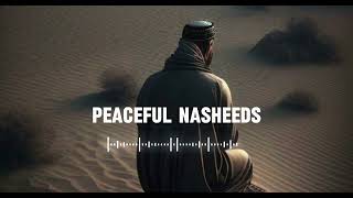 5 Soul healing Nasheeds 🤍 Arabic Nasheed  Muhammad Al Muqit nasheed [upl. by Bouchard]