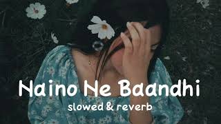 Naino ne baandhi  Slowed  Reverb  DOUND OFF [upl. by Lem]