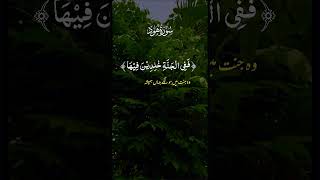 iclamic اكسبلور اسلامصبحي quran duet surah لايك surahrahman راحةنفسية دويتو [upl. by Guinevere]