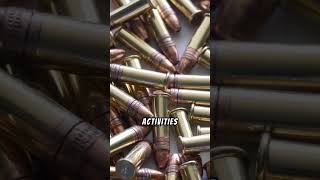 Can Metal Detectors Spot Bullets [upl. by Tristas485]