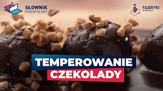 🫕 200kg Czekolady na Godzinę 🍫 Temperowanie Czekolady – Słownik Przemysłowy [upl. by Rehpretsirhc355]