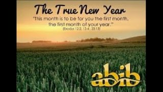 ABIB Biblical Events for the First Month [upl. by Gall]